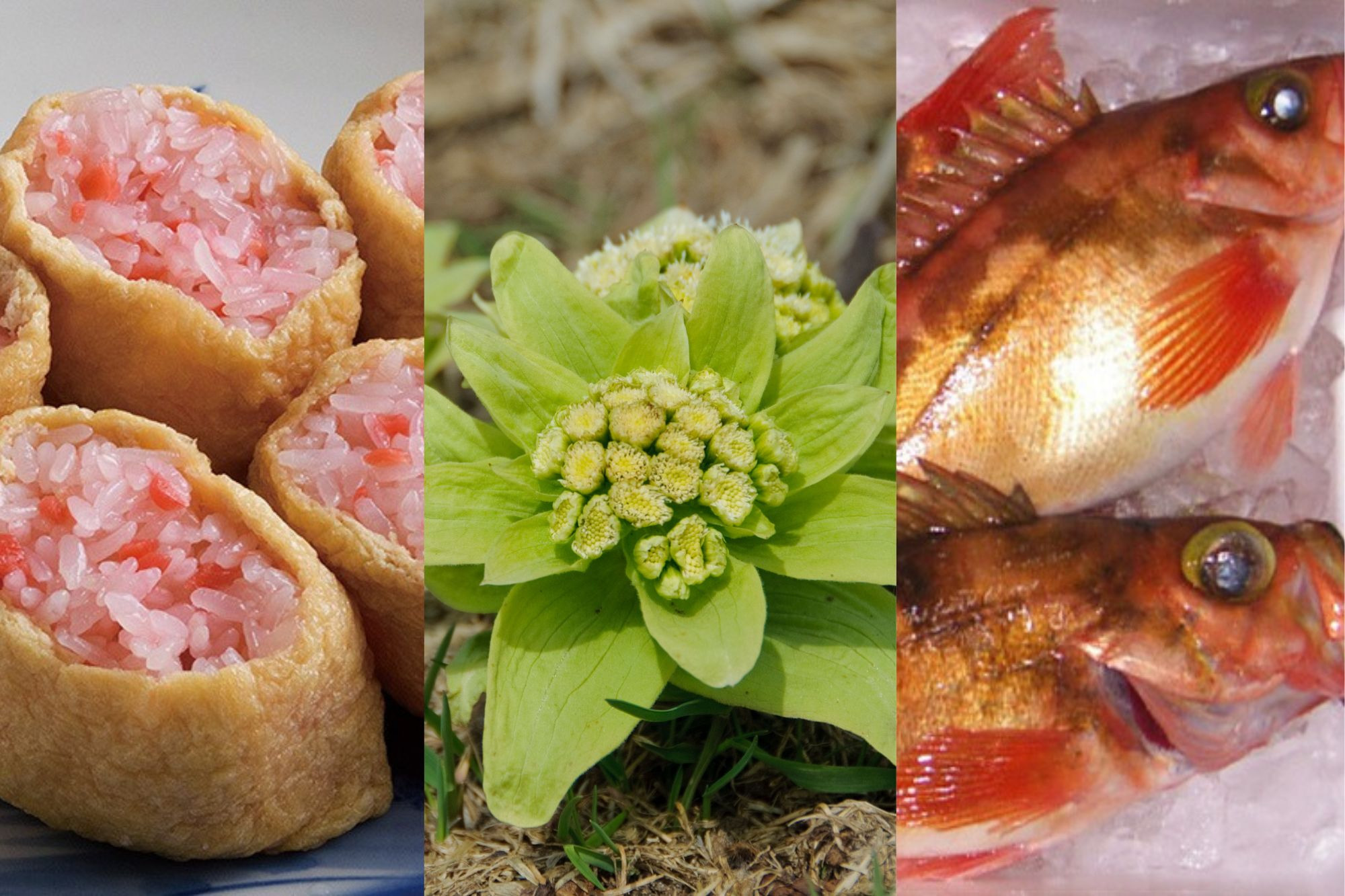 春が旬の青森県の食材特集