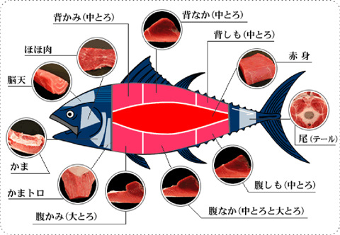 部位によって異なるマグロの味わい