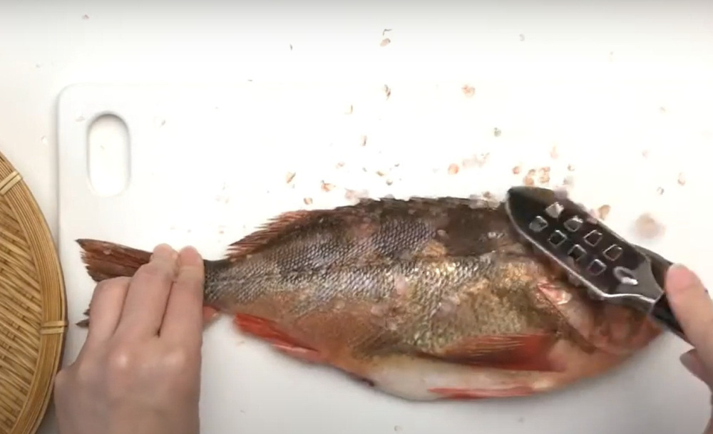 作ってみよう!ウスメバルの煮つけ