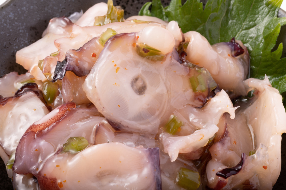 ミズダコはオスとメスで呼び方が違う!?