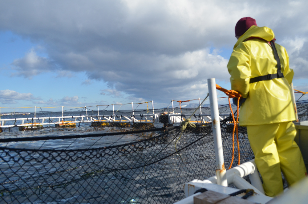 津軽海峡に設置された海峡サーモンの沖生け簀
