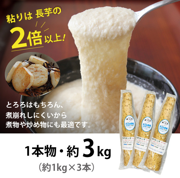 ねばりまこと芋(1本物/約3kg)