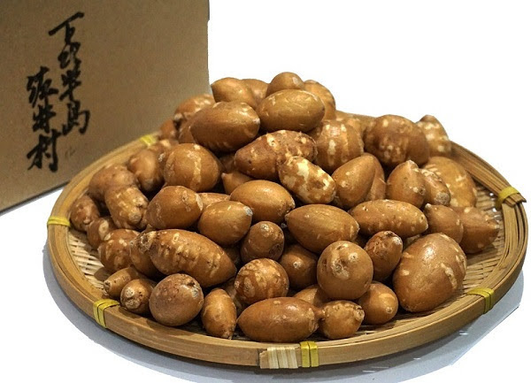 青森県佐井村産　アピオス１ｋｇ（大サイズ・小サイズ）