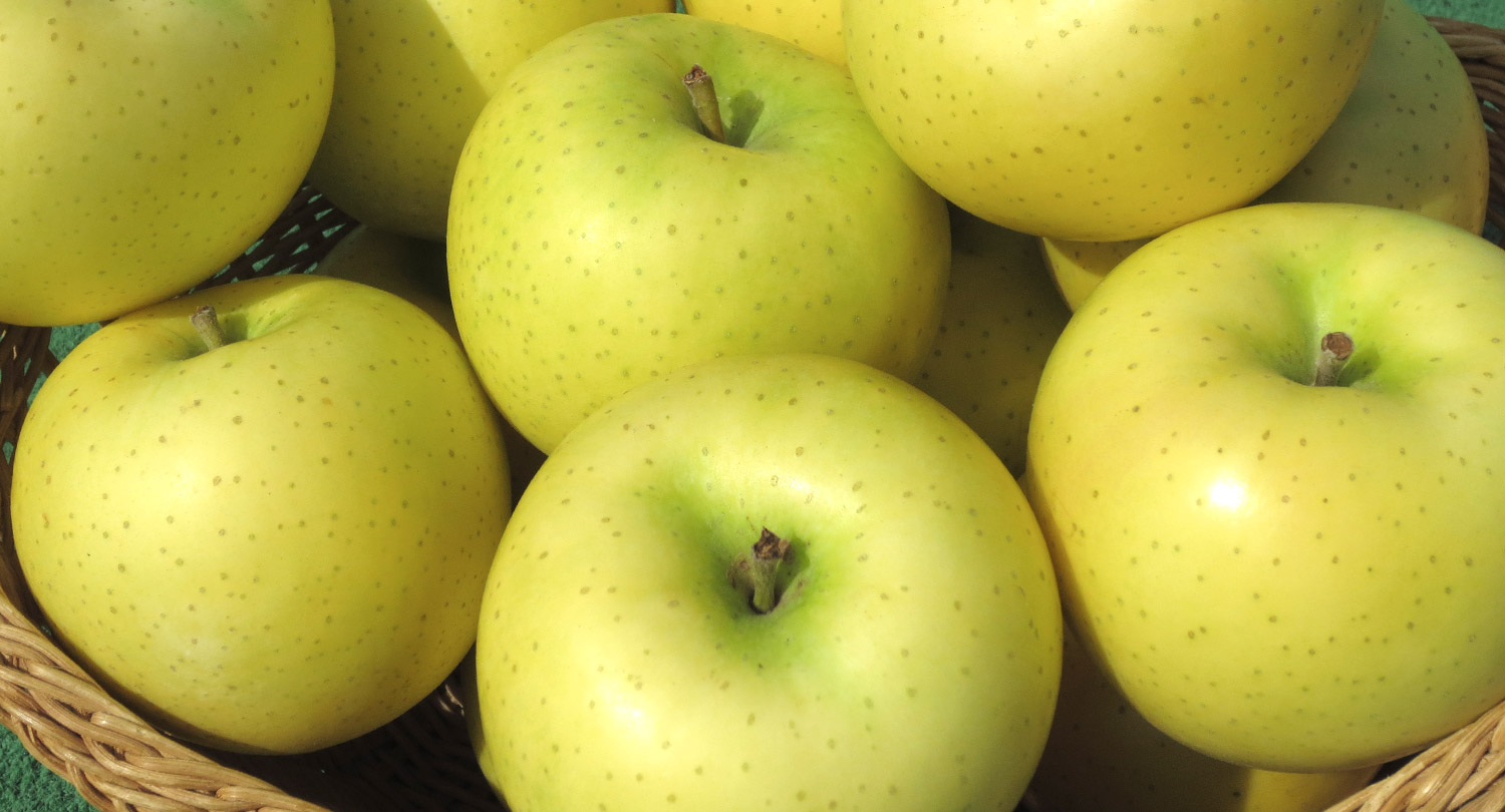 2014年10月 旬の食材 幸福の黄色いりんご