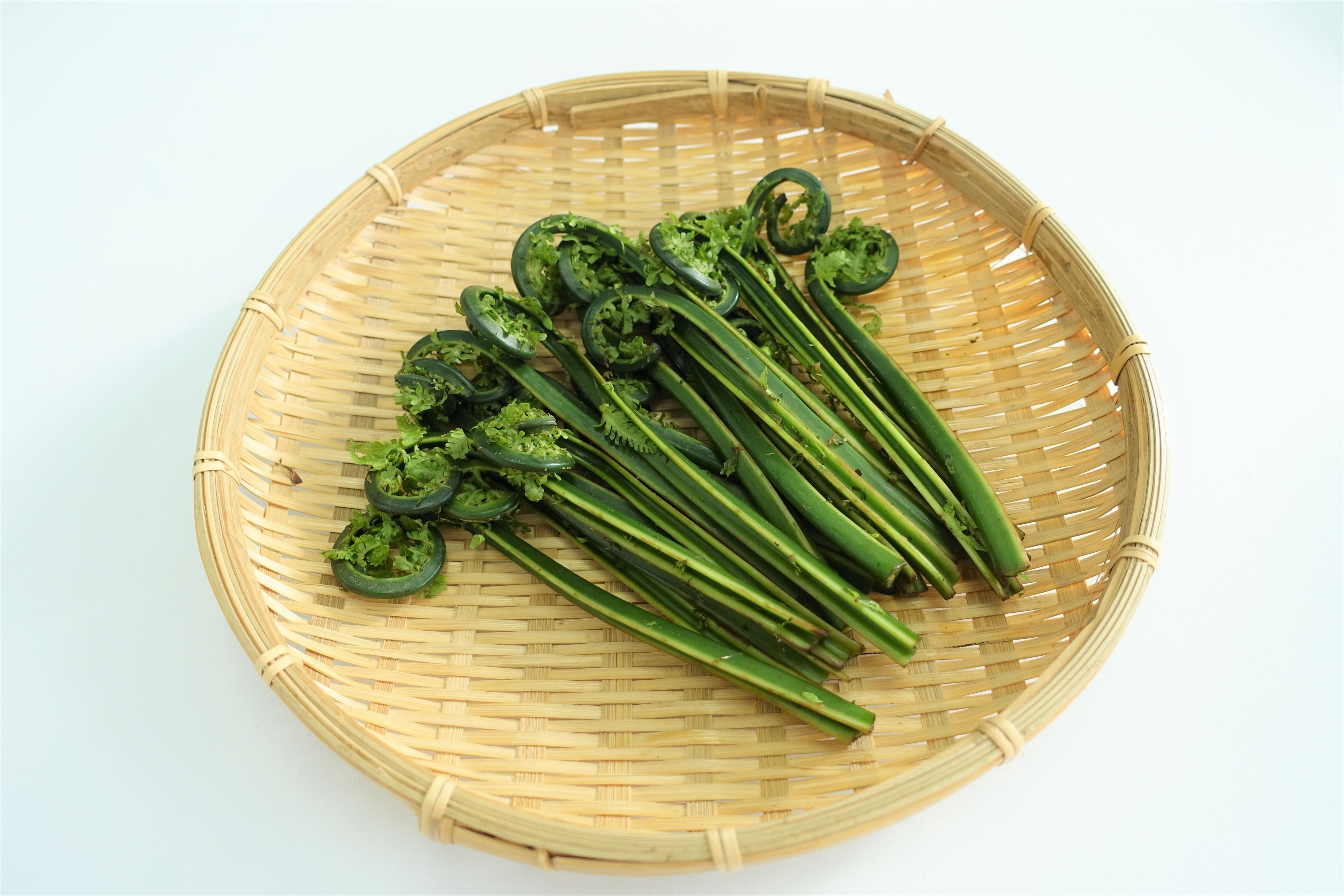 長い冬に終わりを告げ、待っていたのは！青森県で採れる「春の山菜」たち！ | 青森のうまいものたち